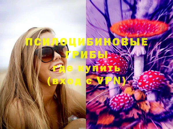 СК Алзамай