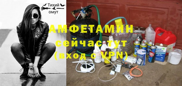 амф Алексин