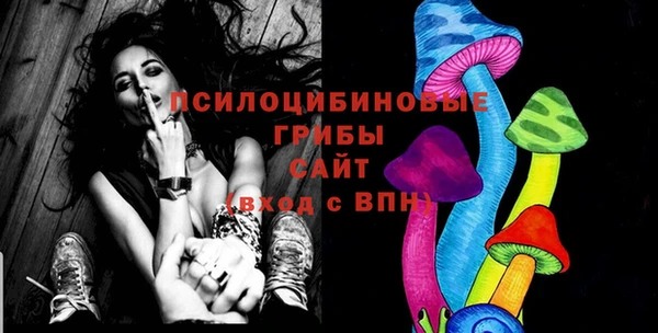 амф Алексин